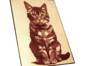Cat Engraving & Cuttin