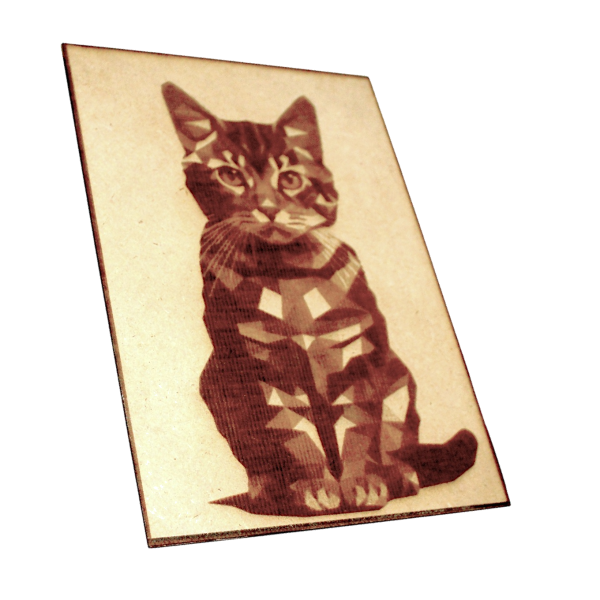 Cat Engraving & Cuttin